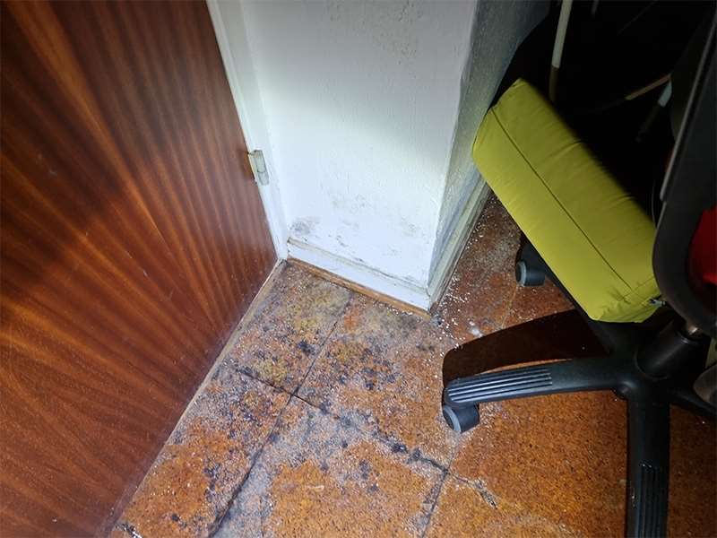 Skimmelsvamp afdækket på gulv og i væg